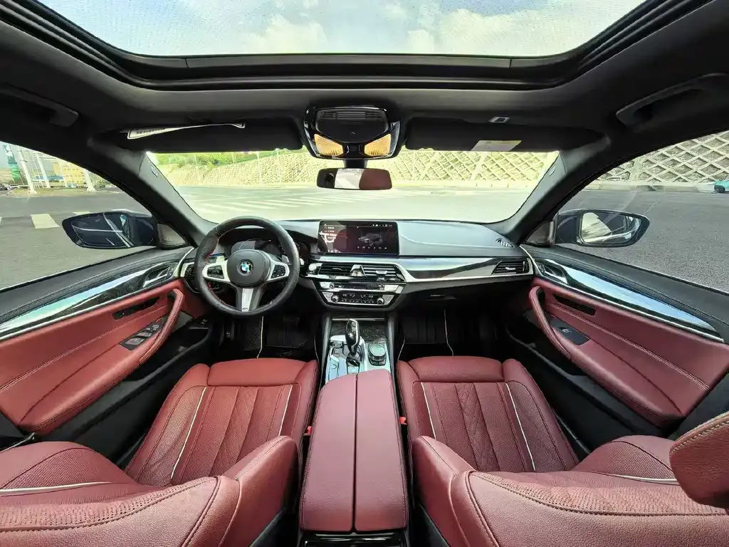 BMW 5 Series 2021 из CN, фото 4