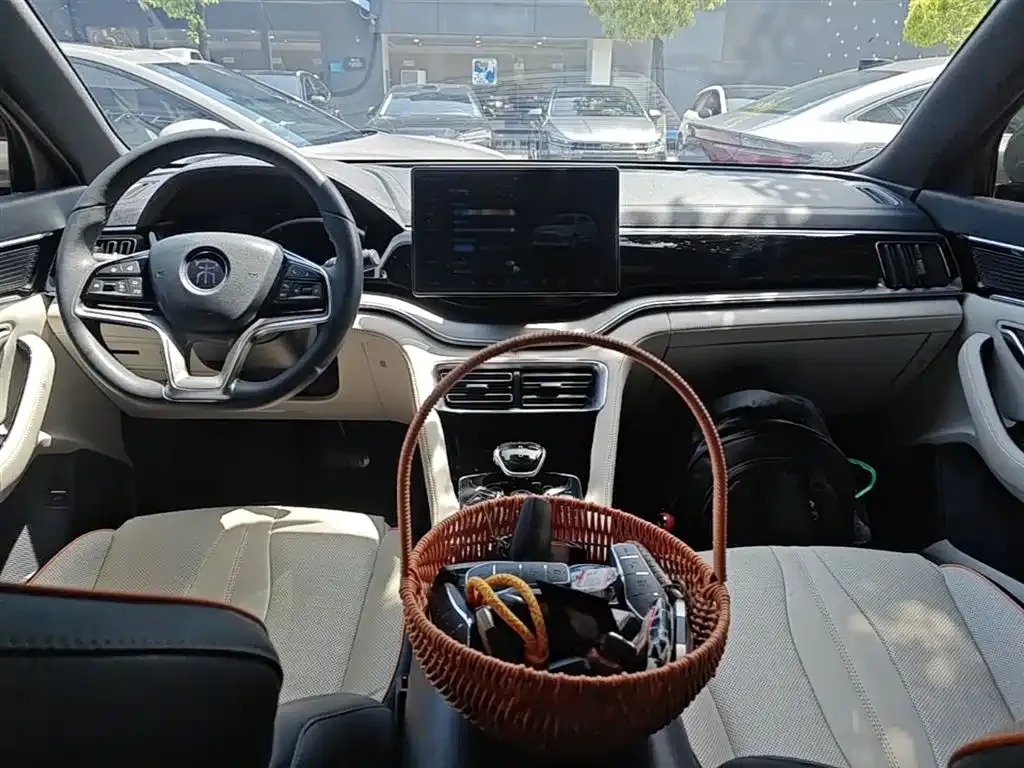 BYD PLUS New Energy 2021 из CN, фото 6