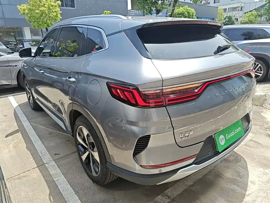 BYD PLUS New Energy 2021 из CN, фото 2