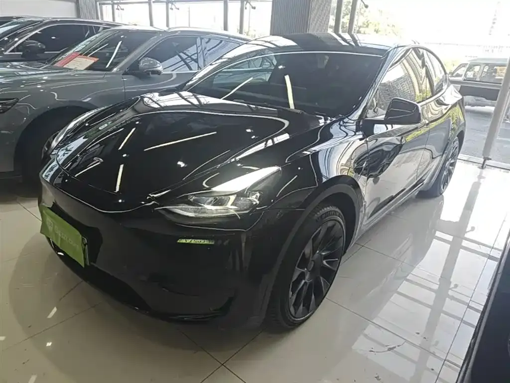 Tesla Model Y — фото 2