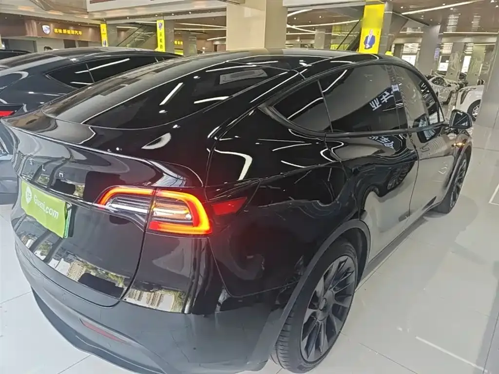 Tesla Model Y — фото 9