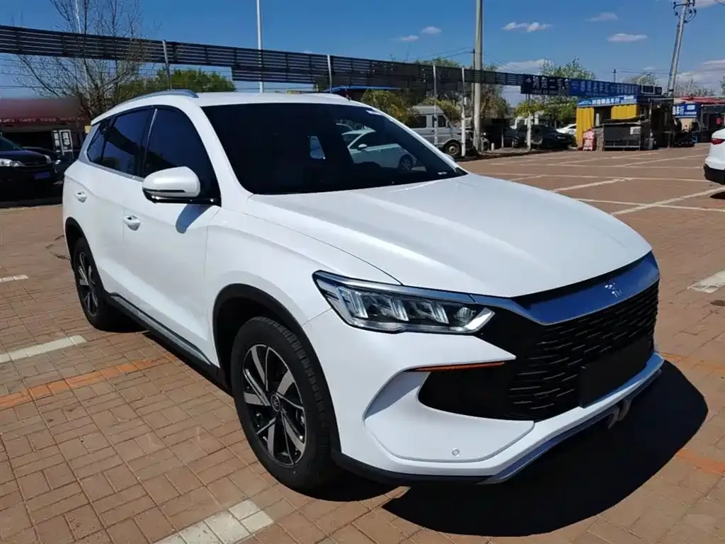 BYD Pro New Energy — фото 5