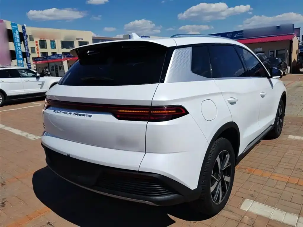 BYD Pro New Energy — фото 8