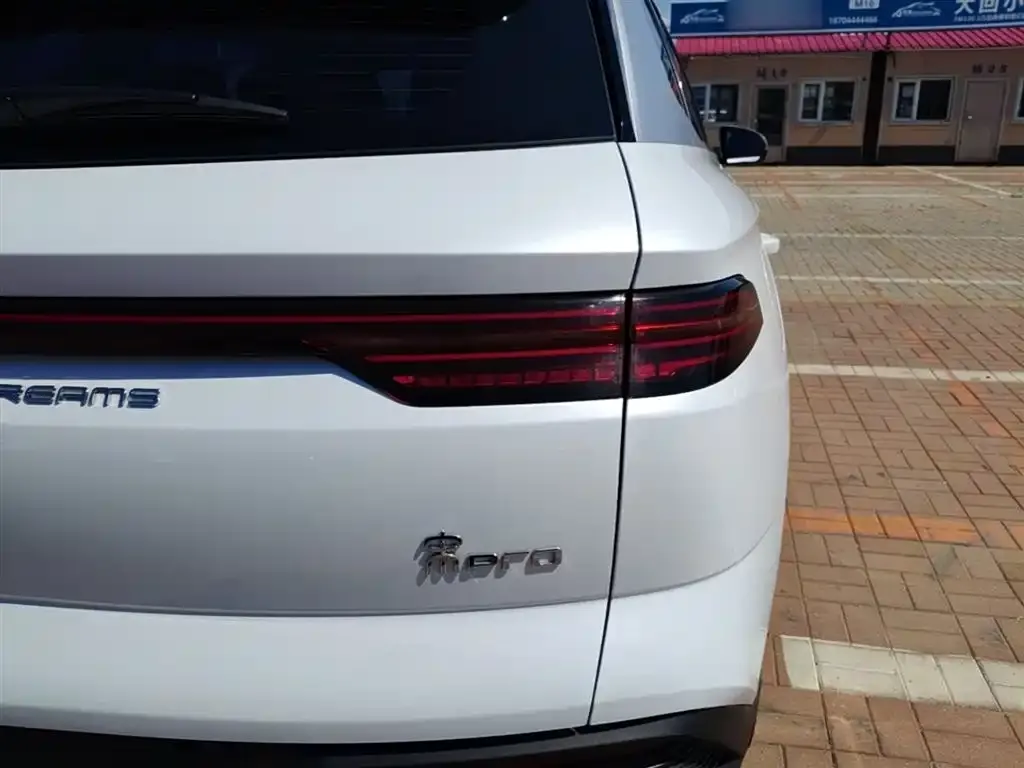 BYD Pro New Energy — фото 6