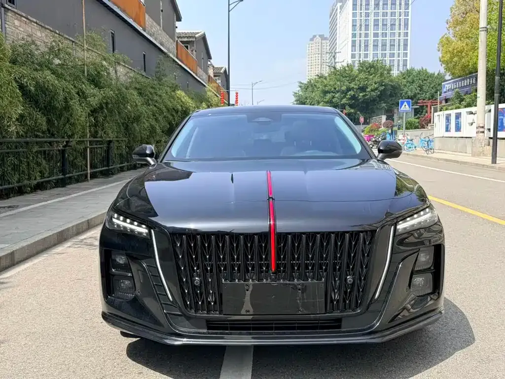 Hongqi H5 2025 из CN, фото 8