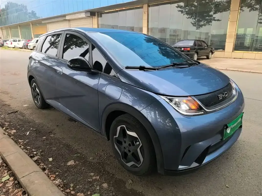 BYD Dolphin 2025 из CN, фото 6