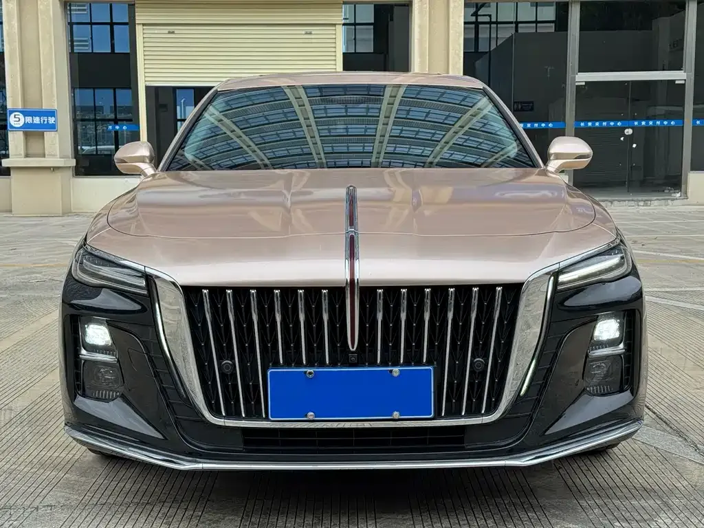 Hongqi H5 2022 из CN, фото 4