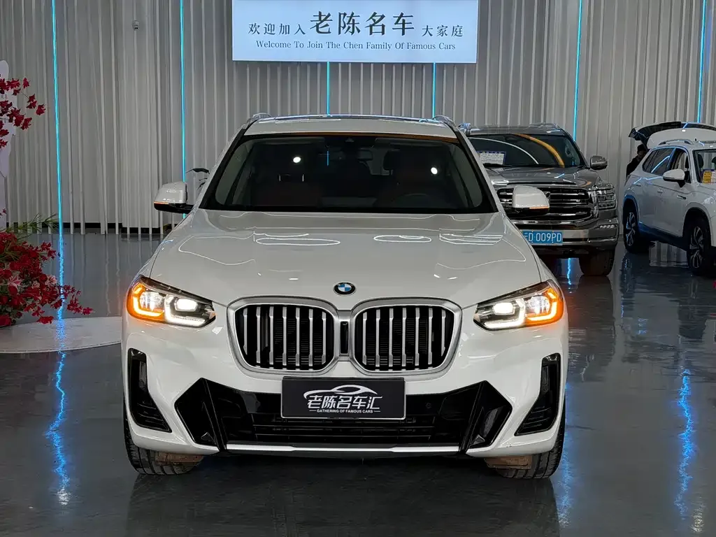 BMW X3 2024 из CN, фото 3