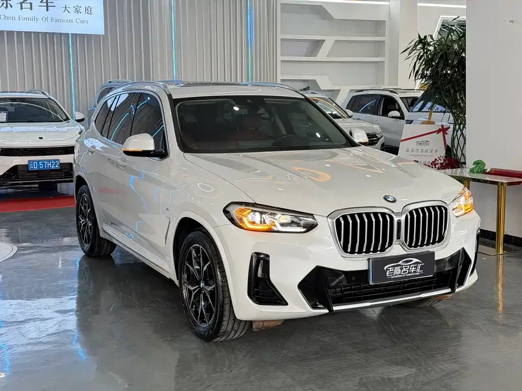 BMW X3 2024 из CN, фото 7