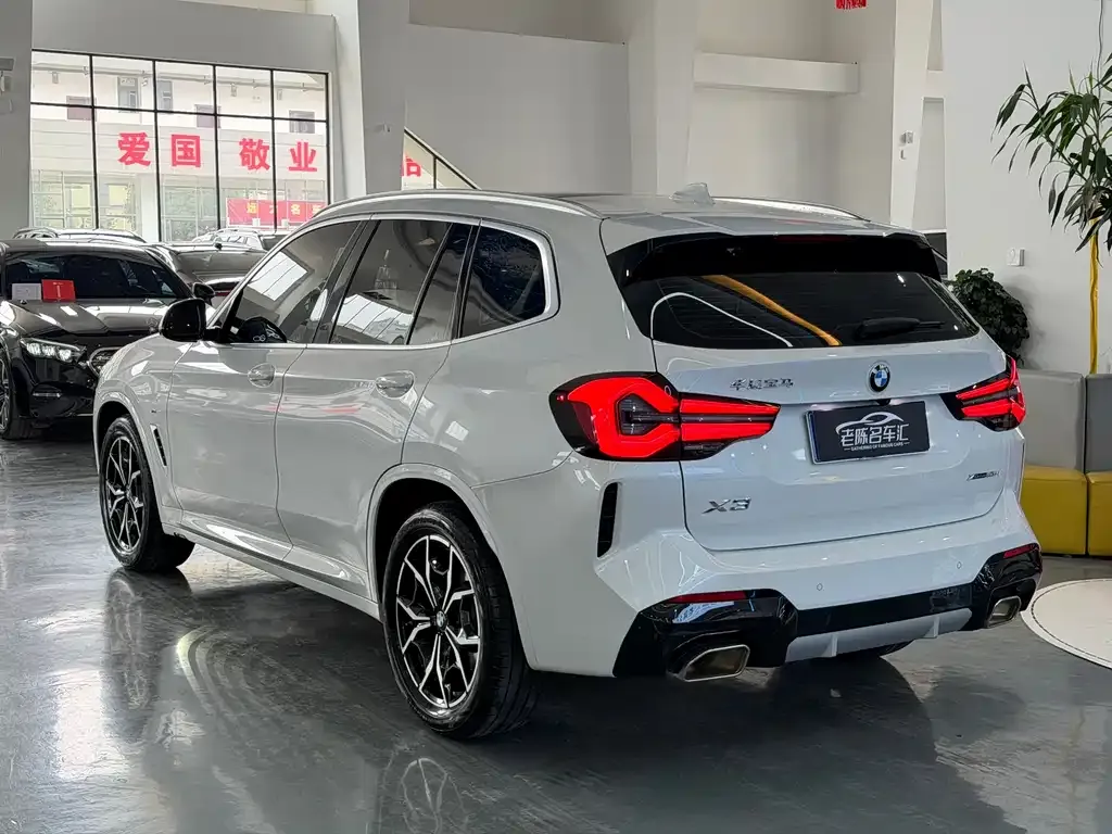 BMW X3 2024 из CN, фото 6