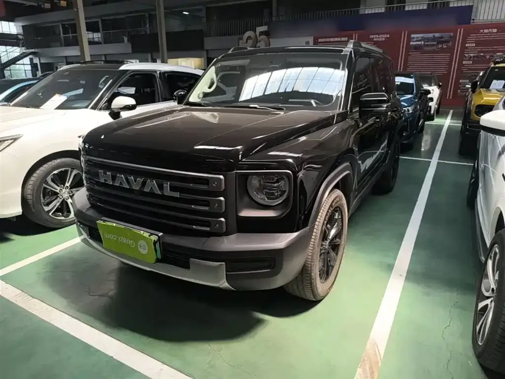 Haval Menglong New Energy 2025 из CN, фото 7