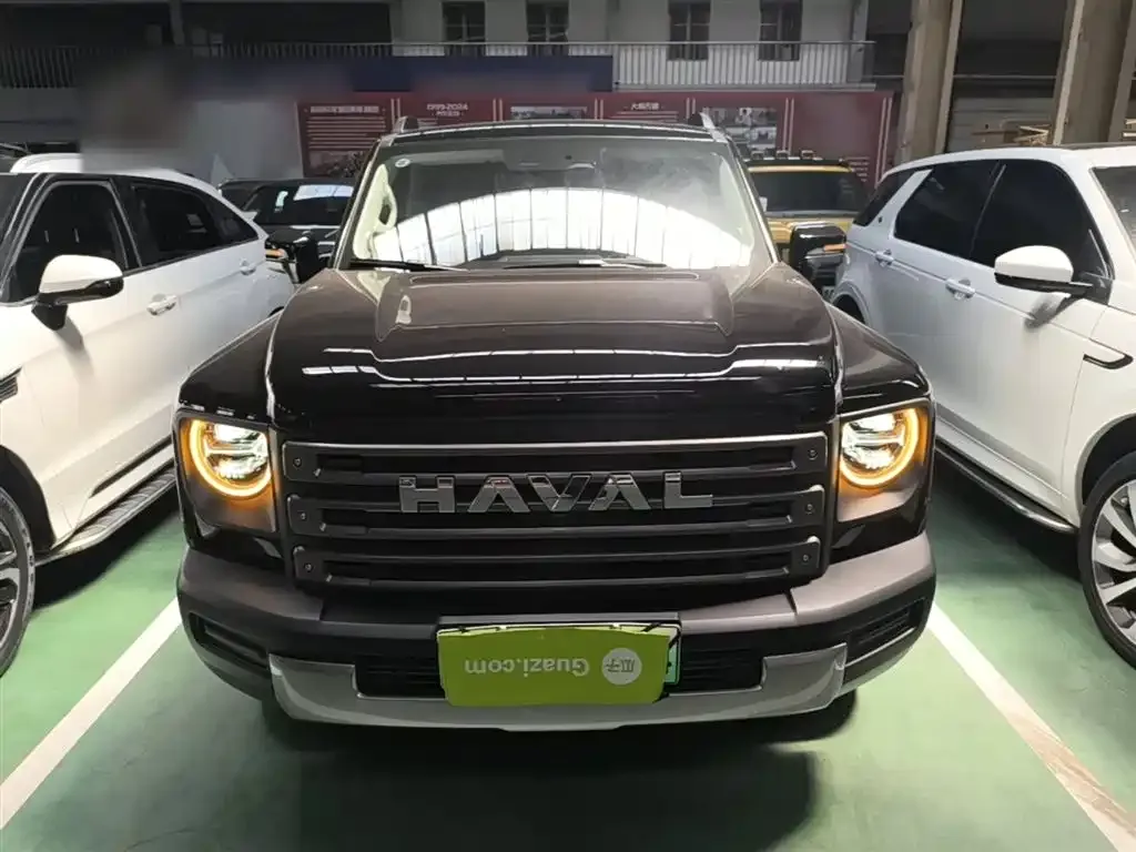 Haval Menglong New Energy 2025 из CN, фото 8