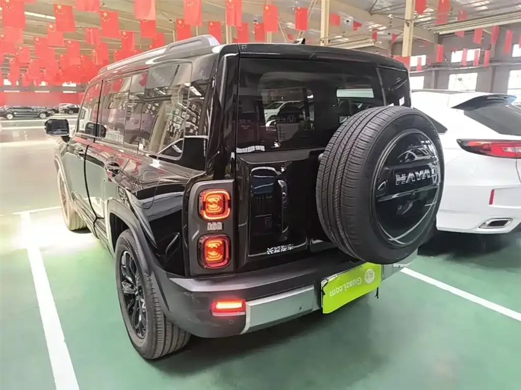 Haval Menglong New Energy 2025 из CN, фото 10