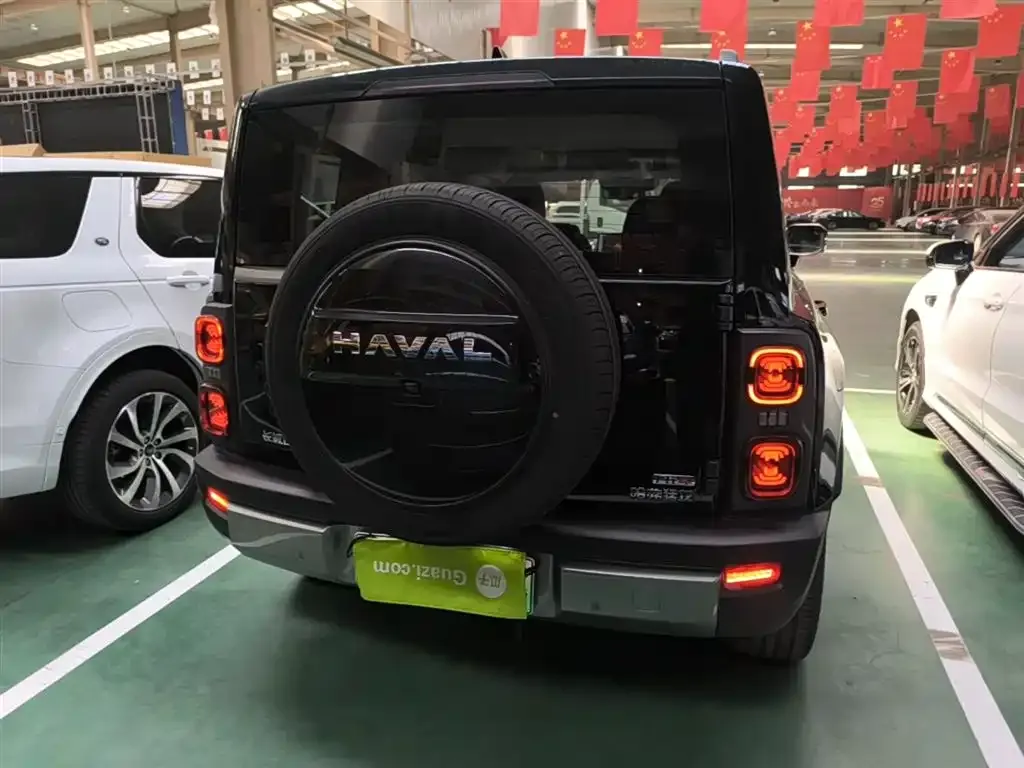 Haval Menglong New Energy 2025 из CN, фото 6