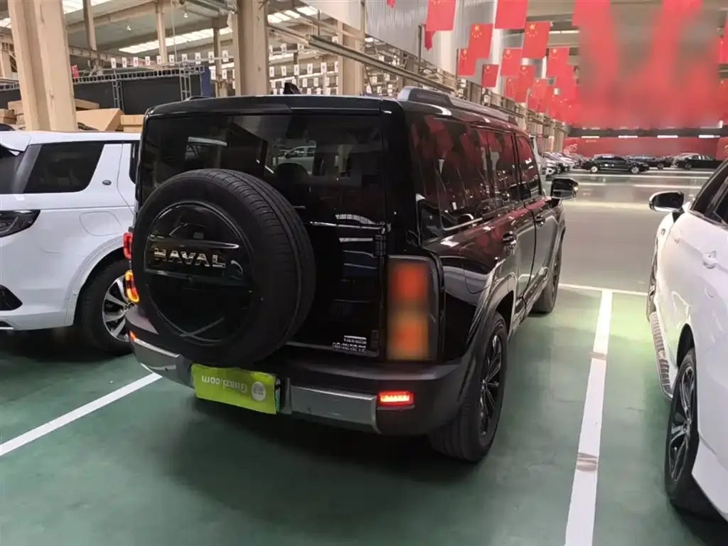 Haval Menglong New Energy 2025 из CN, фото 9