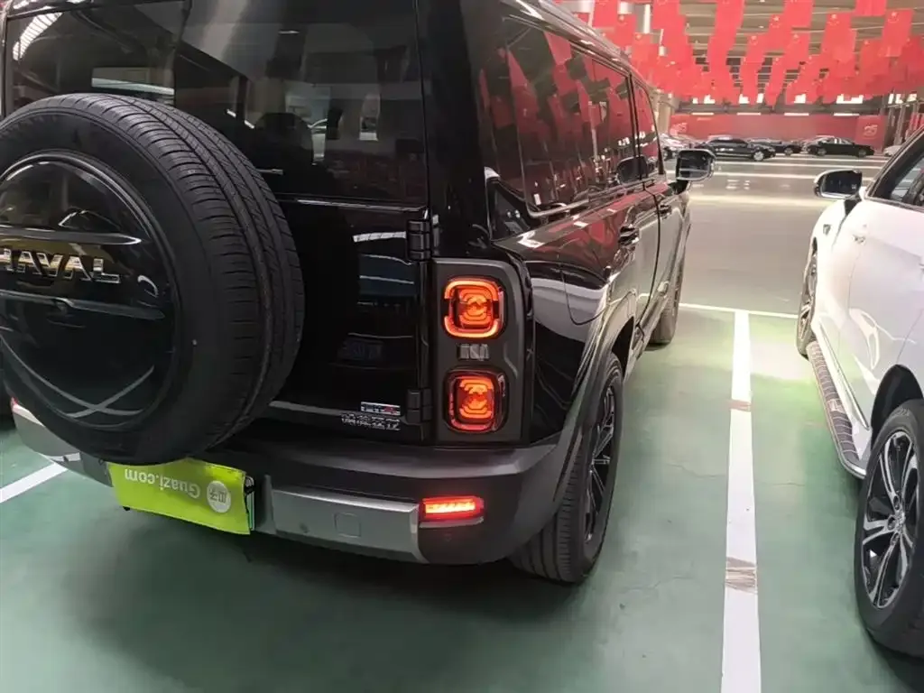 Haval Menglong New Energy 2025 из CN, фото 2