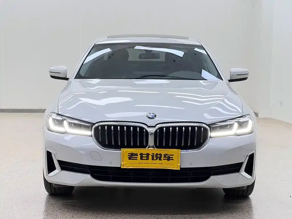 BMW 5 Series 2021 из CN, фото 7