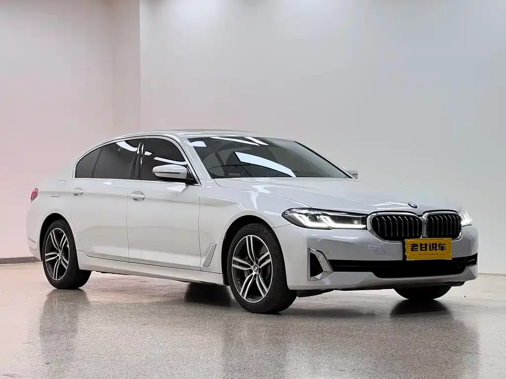 BMW 5 Series 2021 из CN, фото 5