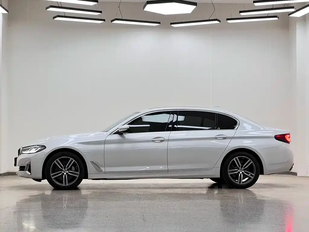 BMW 5 Series 2021 из CN, фото 8