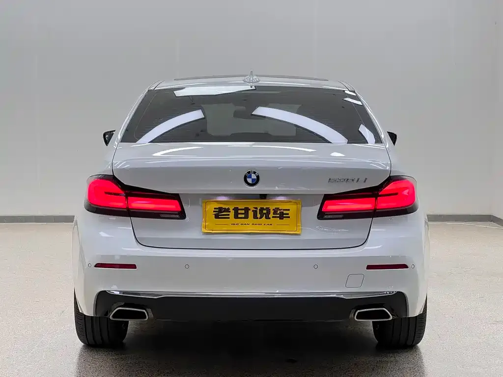 BMW 5 Series 2021 из CN, фото 10