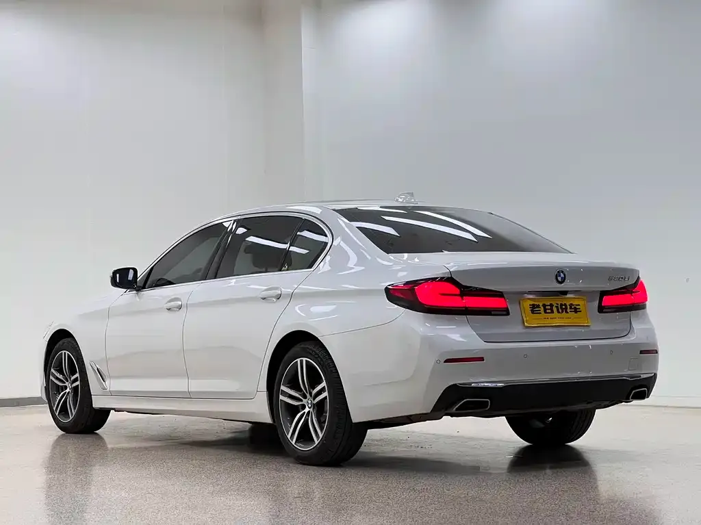 BMW 5 Series 2021 из CN, фото 9