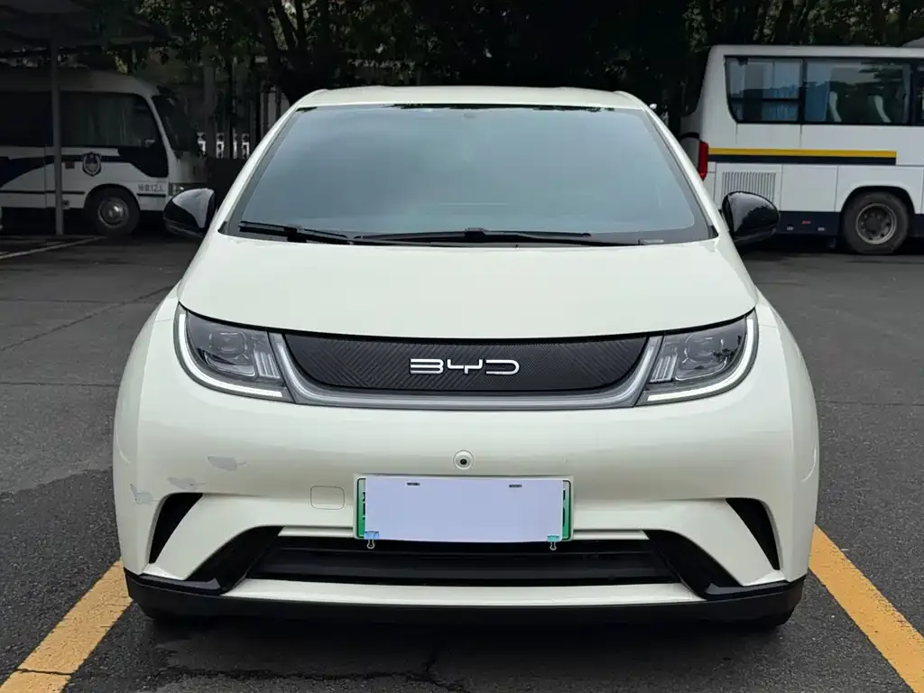 BYD Dolphin 2023 из CN, фото 3