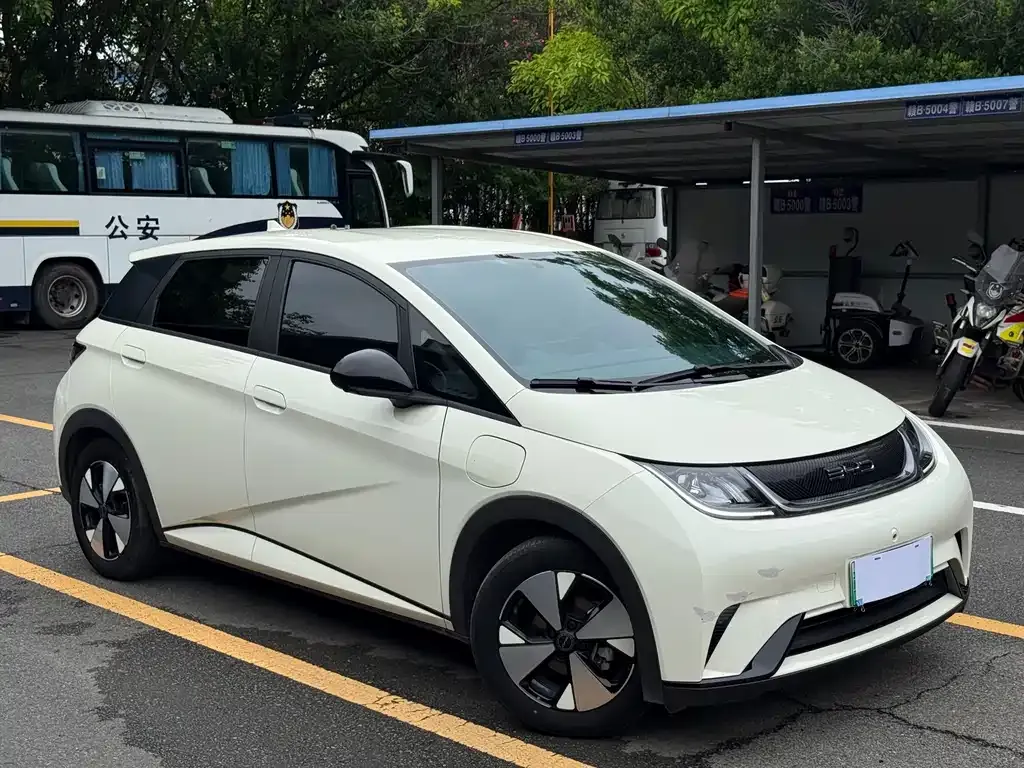 BYD Dolphin 2023 из CN, фото 8
