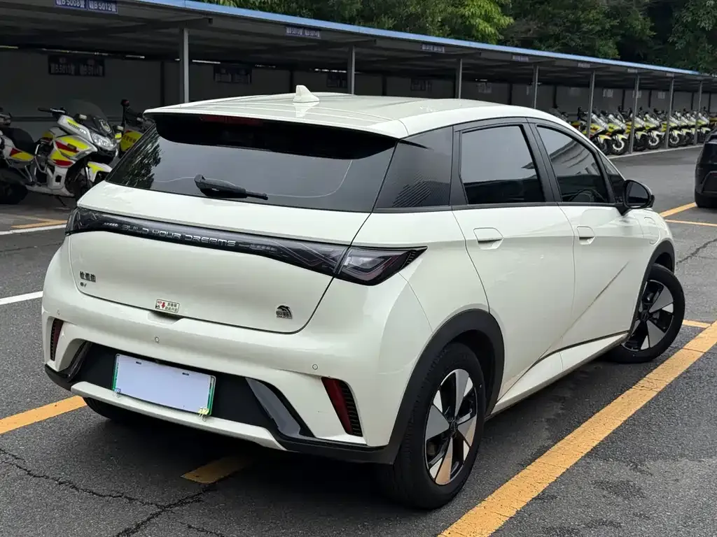 BYD Dolphin 2023 из CN, фото 7