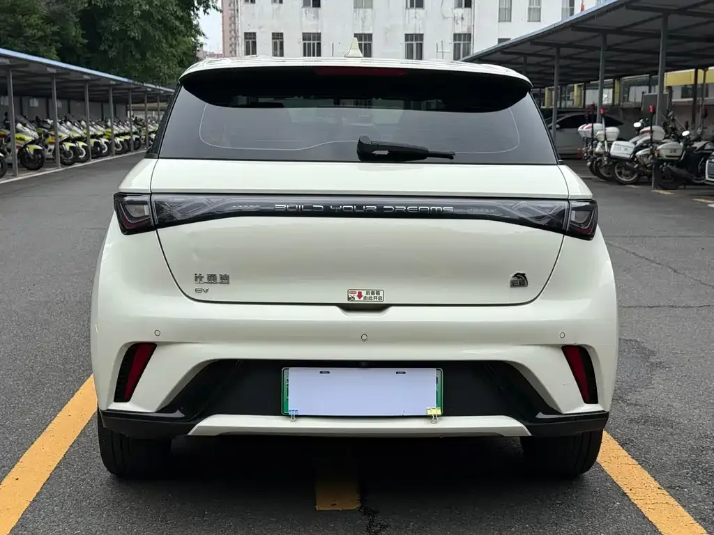 BYD Dolphin 2023 из CN, фото 5