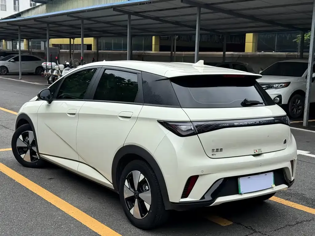 BYD Dolphin 2023 из CN, фото 2