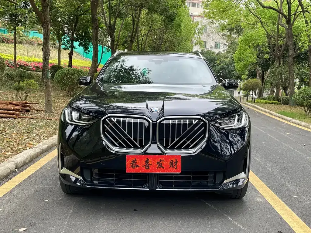 BMW X3 2025 из CN, фото 6