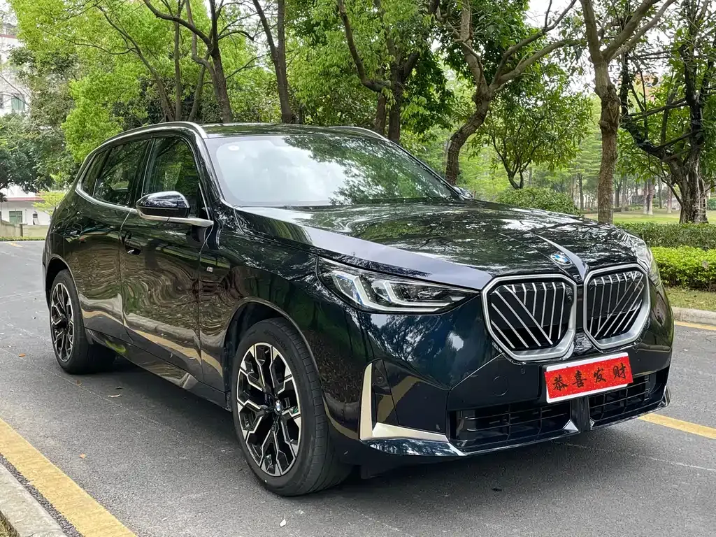 BMW X3 2025 из CN, фото 4