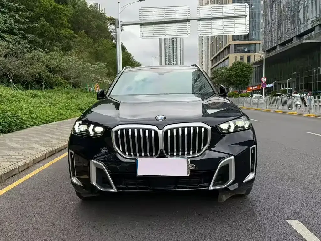 BMW X5 2024 из CN, фото 10