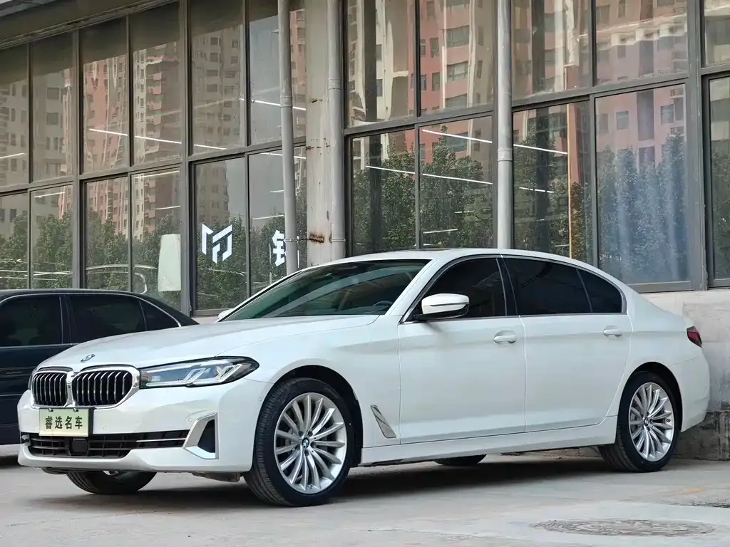 BMW 5 Series 2022 из CN, фото 5