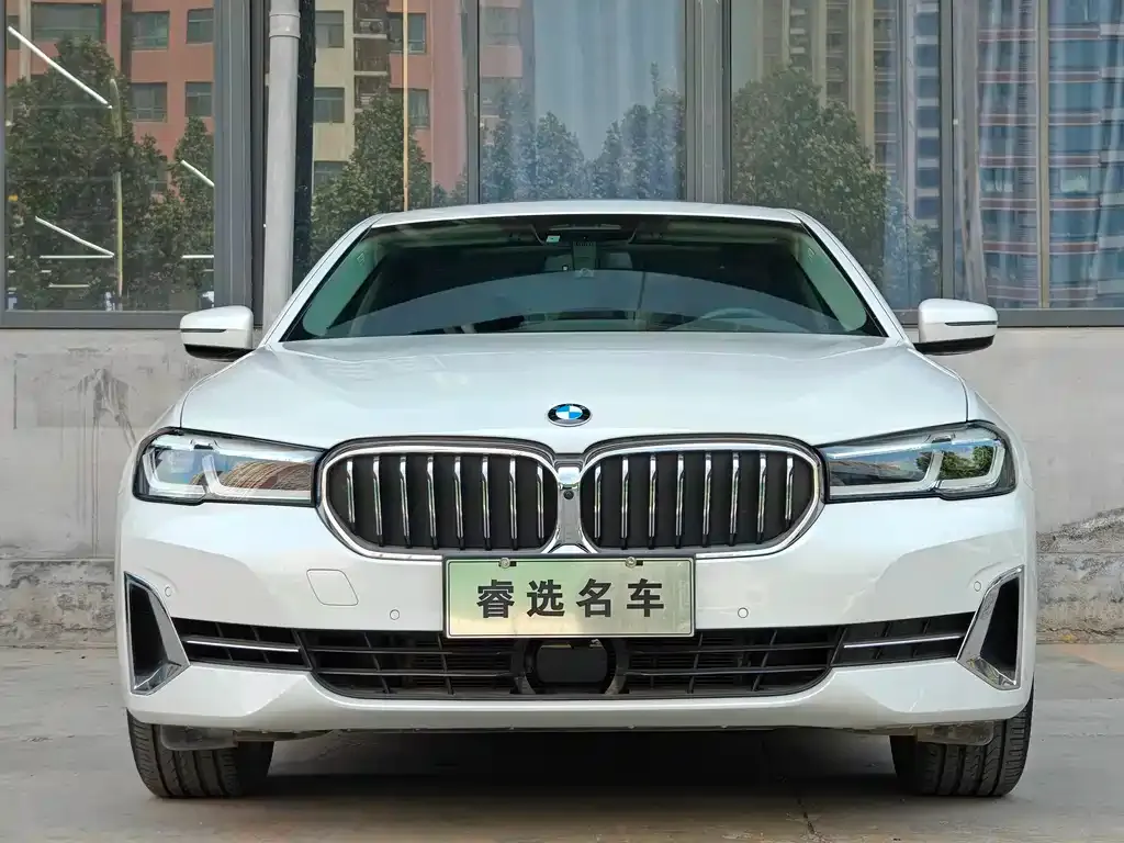 BMW 5 Series 2022 из CN, фото 8