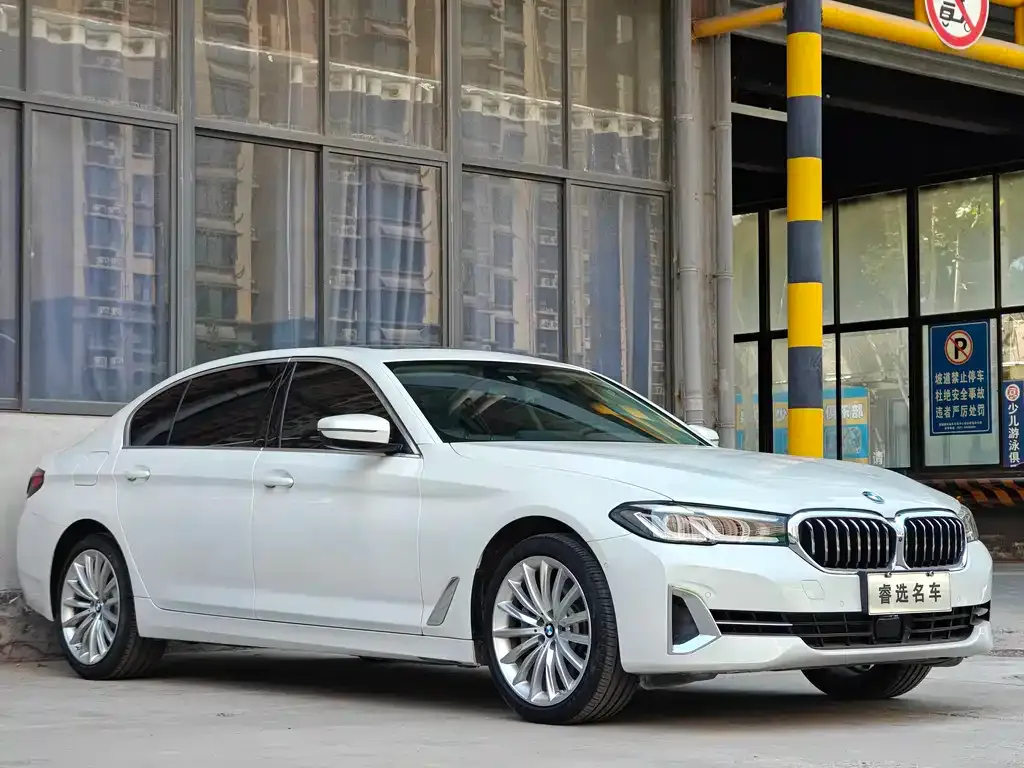 BMW 5 Series 2022 из CN, фото 6