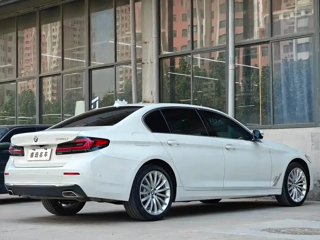 BMW 5 Series 2022 из CN, фото 4