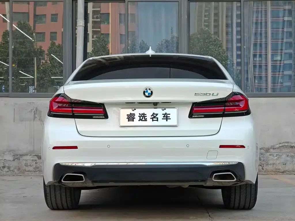 BMW 5 Series 2022 из CN, фото 9