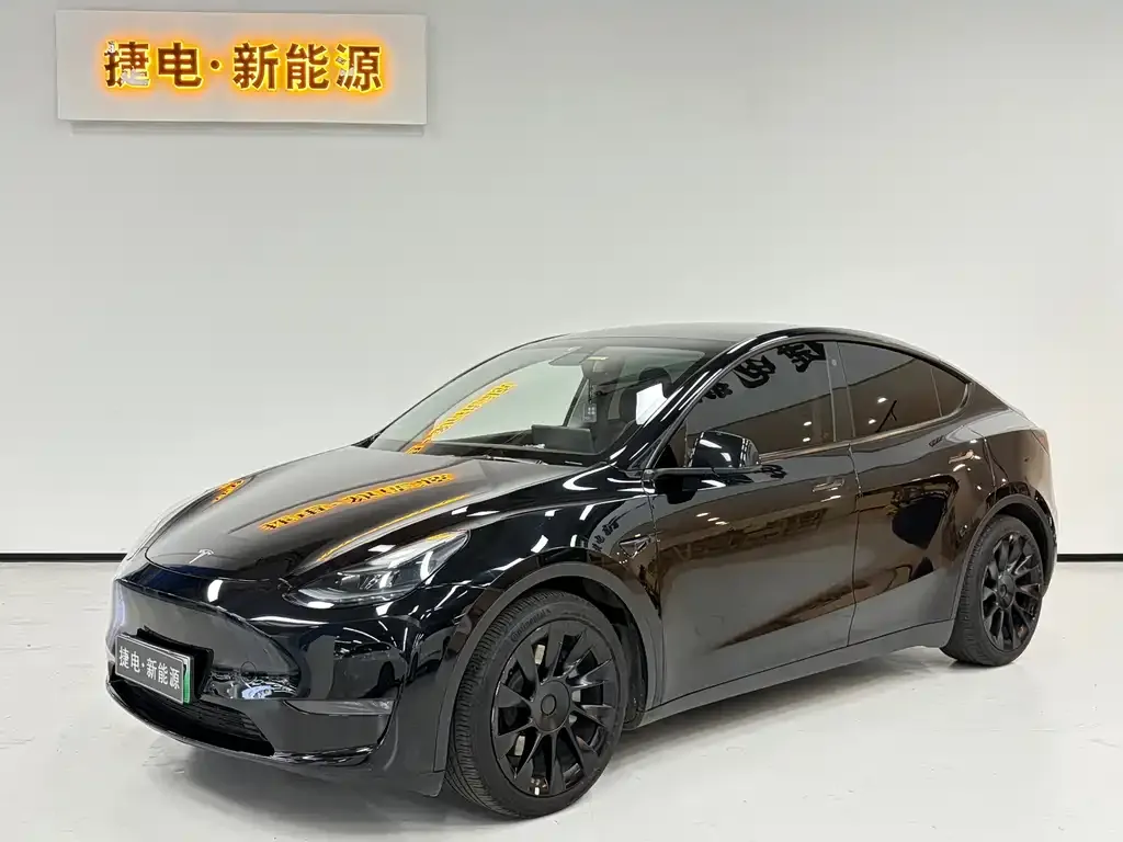 Tesla Model Y 2021 из CN, фото 1