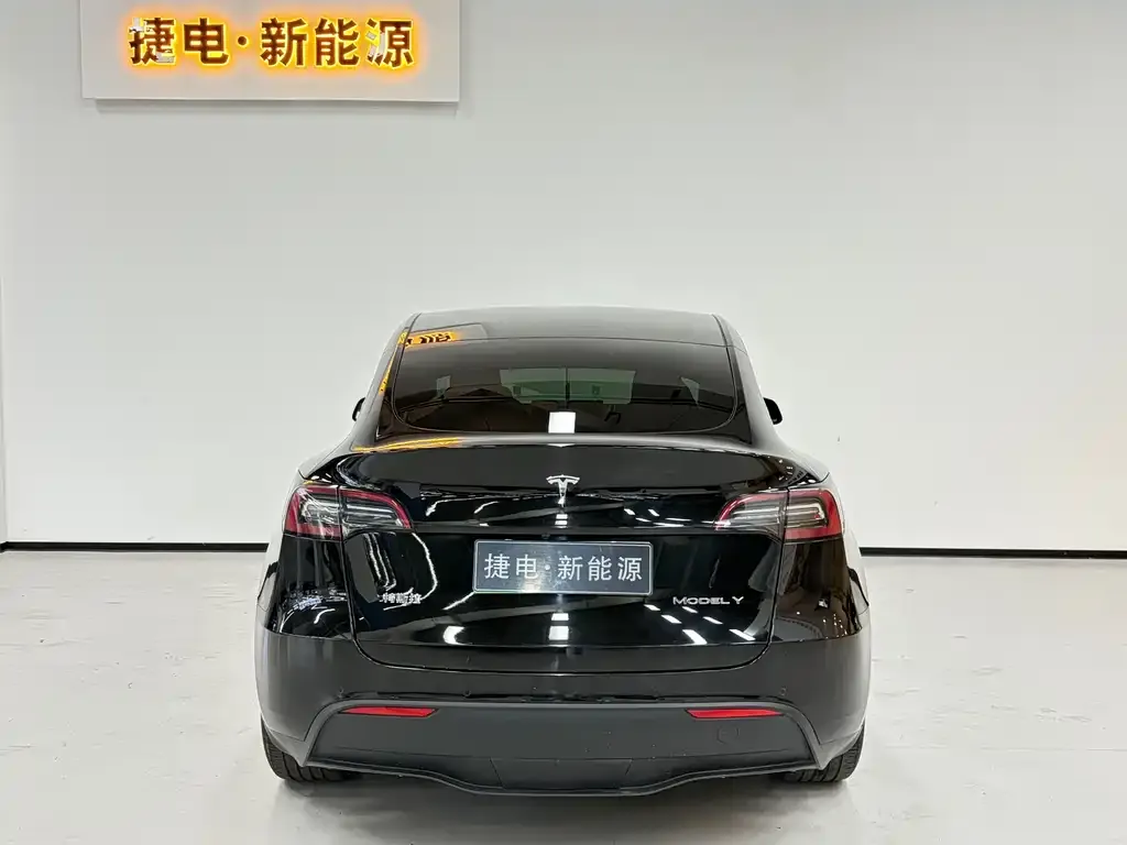 Tesla Model Y 2021 из CN, фото 2