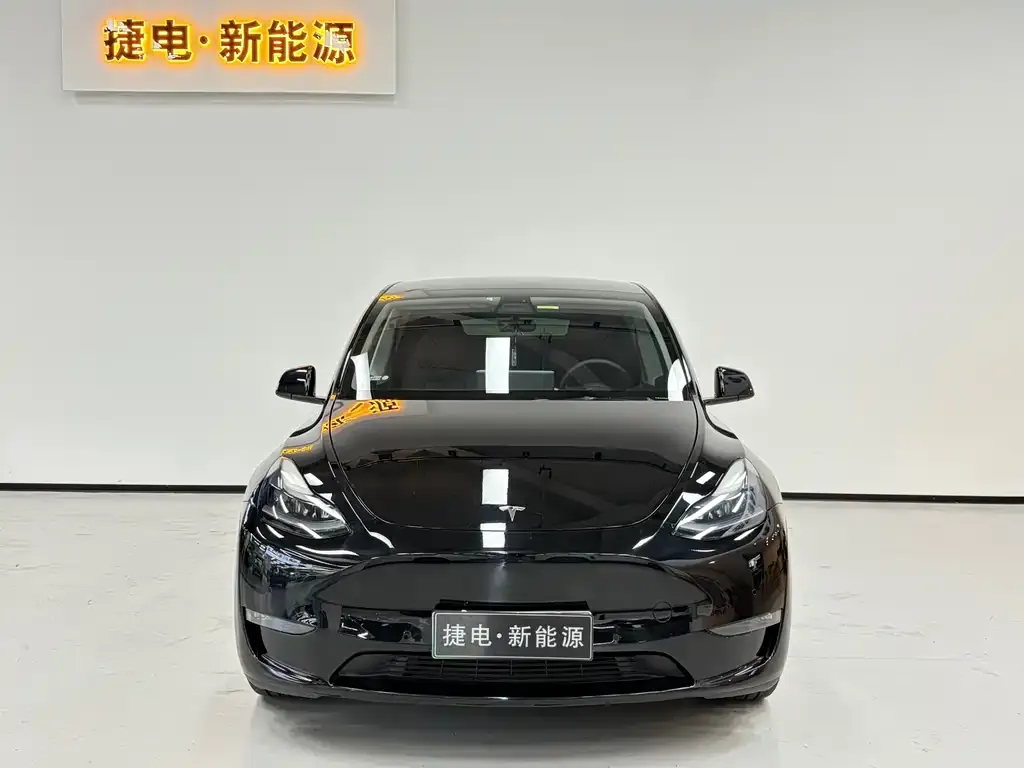 Tesla Model Y 2021 из CN, фото 3