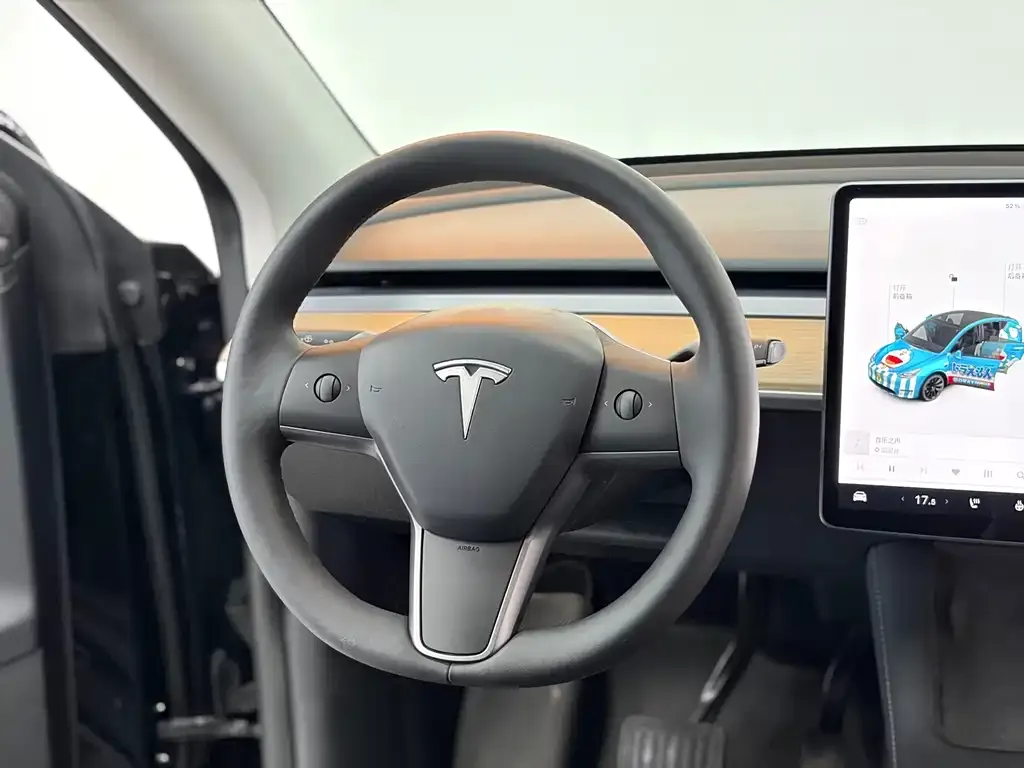 Tesla Model Y 2021 из CN, фото 6