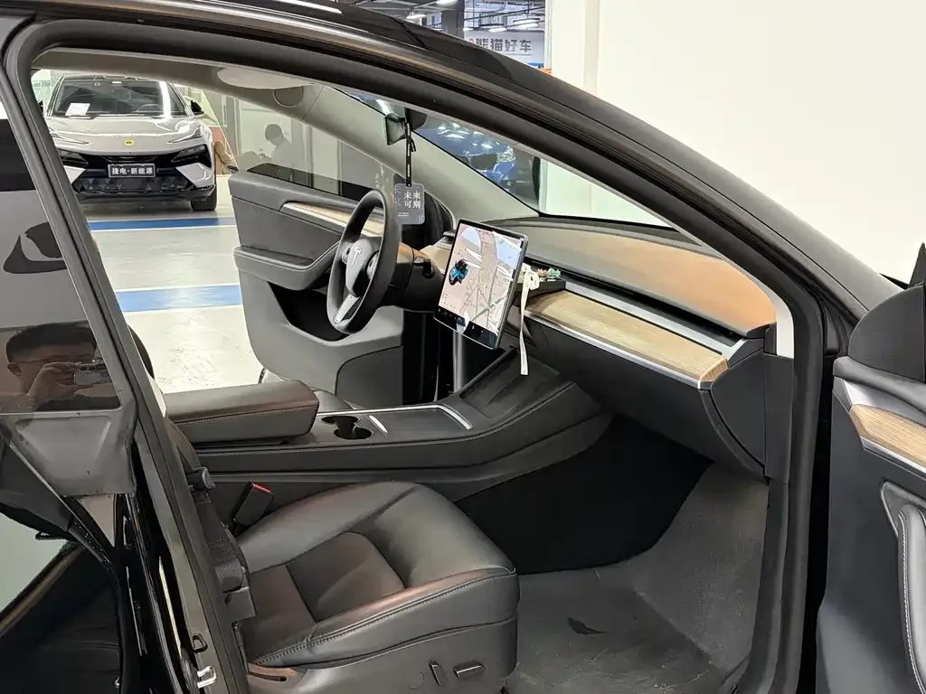 Tesla Model Y 2021 из CN, фото 8