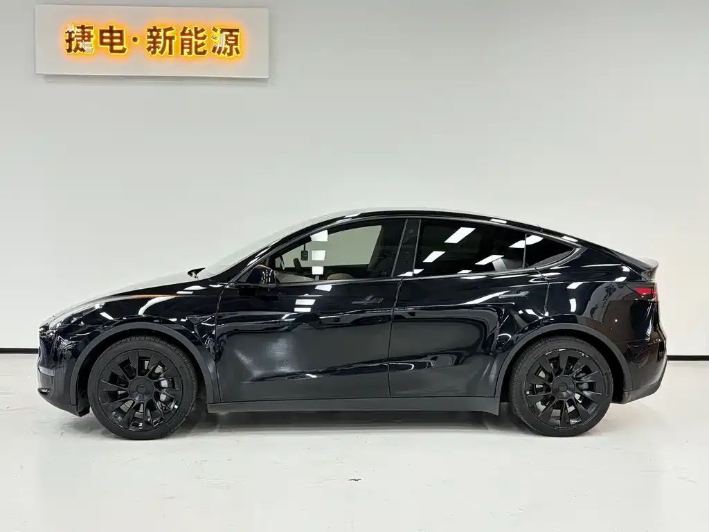 Tesla Model Y 2021 из CN, фото 5