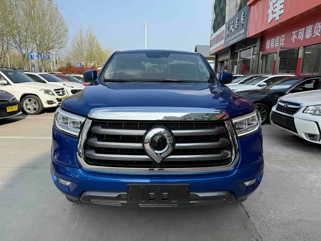 Great Wall Pao 2021 из CN, фото 10