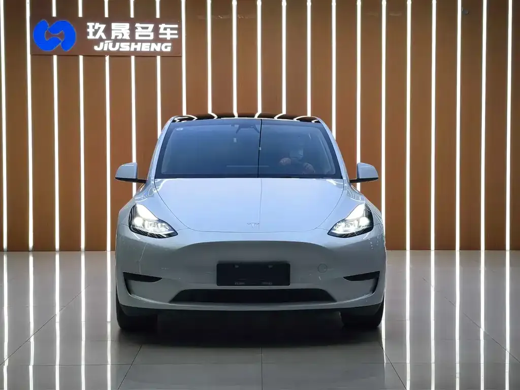 Tesla Model Y — фото 2