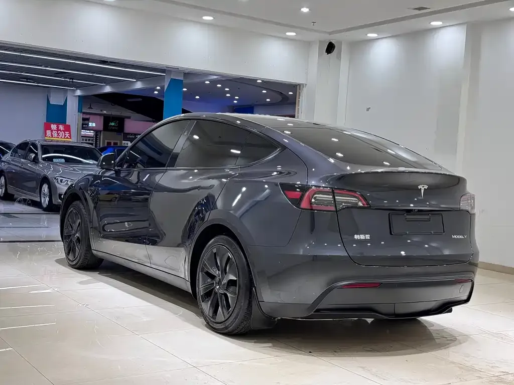 Tesla Model Y 2024 из CN, фото 6