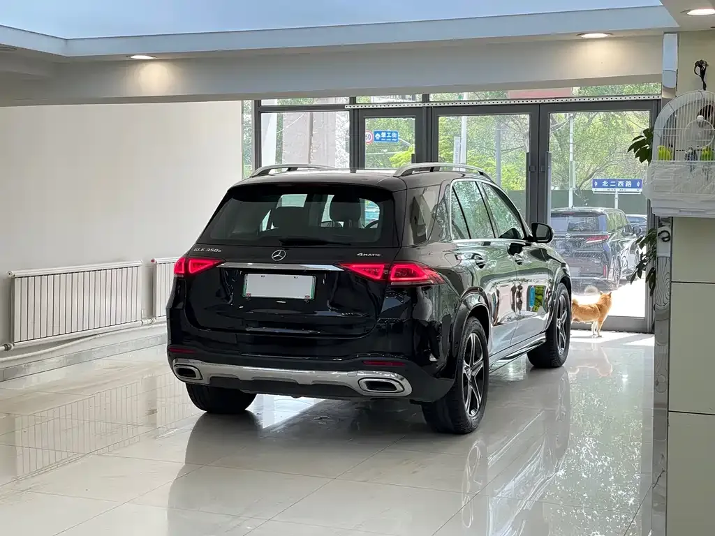 Mercedes-Benz GLE New Energy 2022 из CN, фото 6