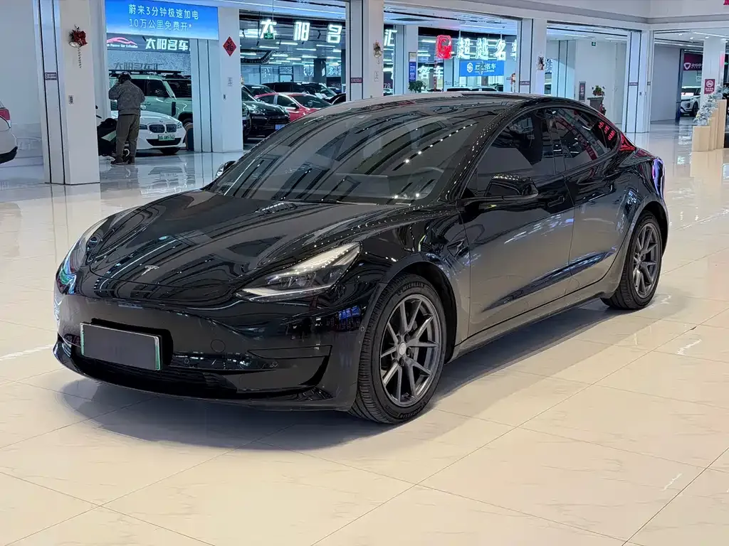 Tesla Model 3 2021 из CN, фото 1