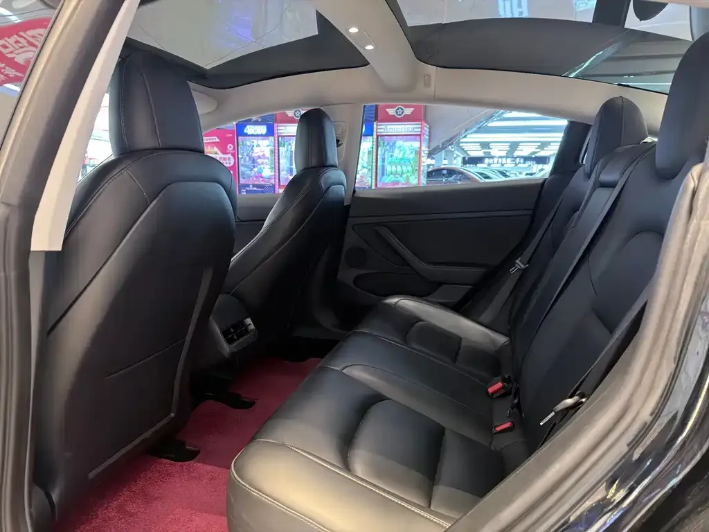 Tesla Model 3 2021 из CN, фото 5
